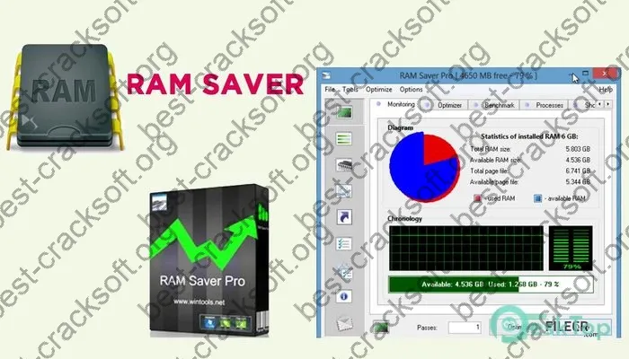 Ram Saver Professional Crack 24.5 Free Download